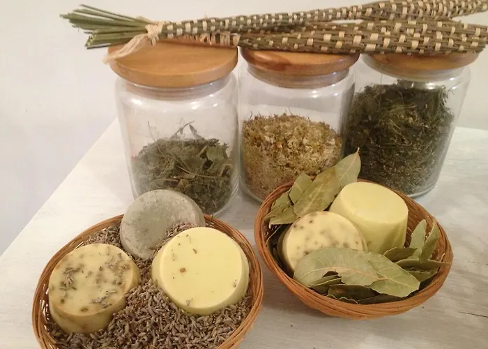 Skolj 3 Διαμέρισμα